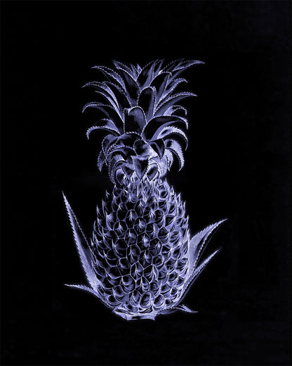 Blue Neon Pineapple Print ‚Äì antique art print from Ninska Designs