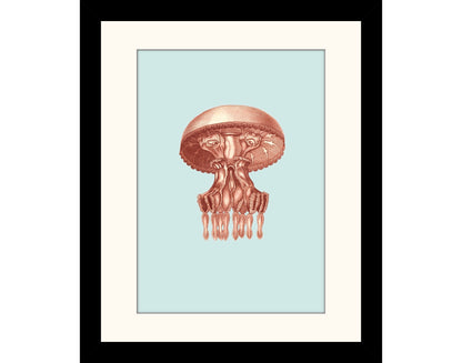 Medusa Pulmo Print