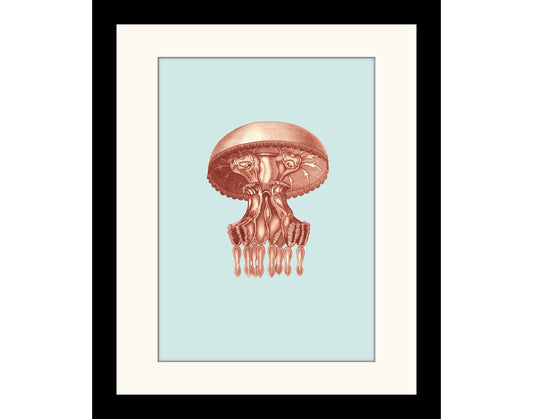 Medusa Pulmo Print