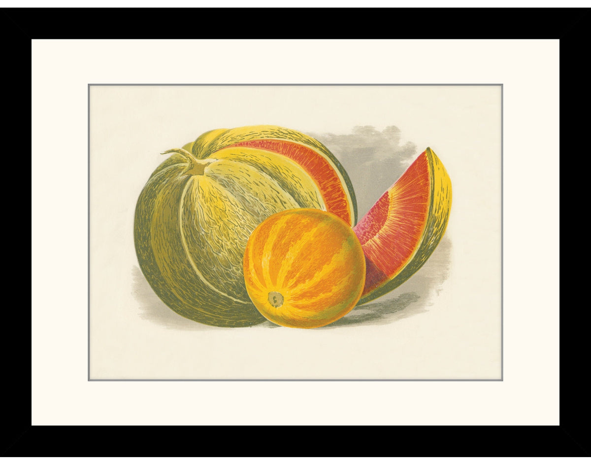 Melons Print