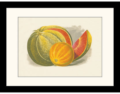Melons Print