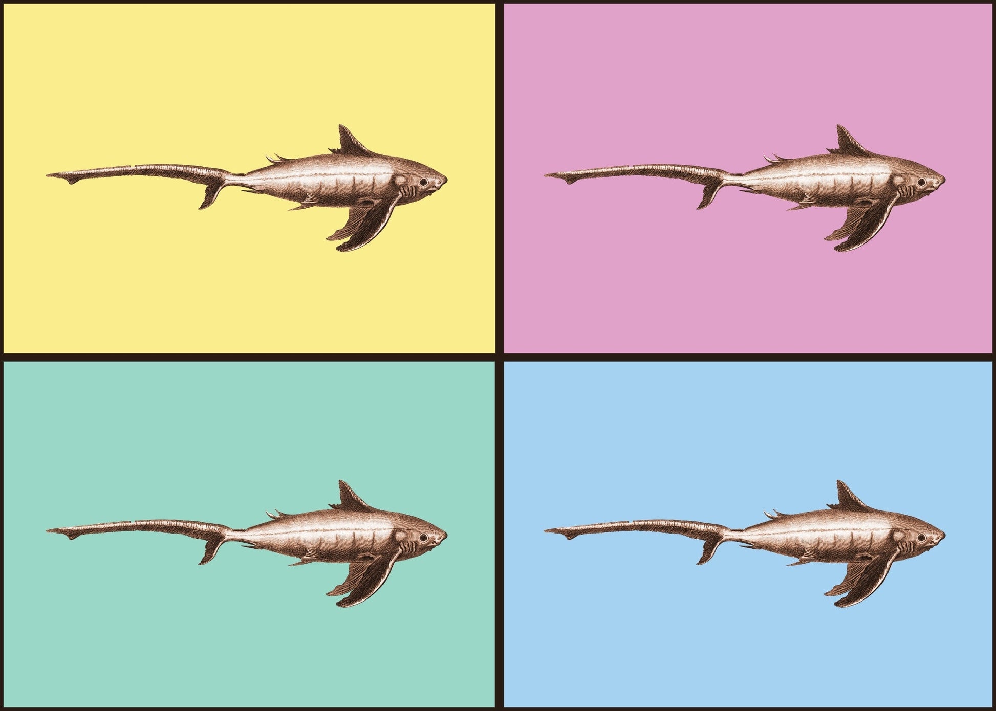 Shark Pop Art Print – antique art print from Ninska Designs