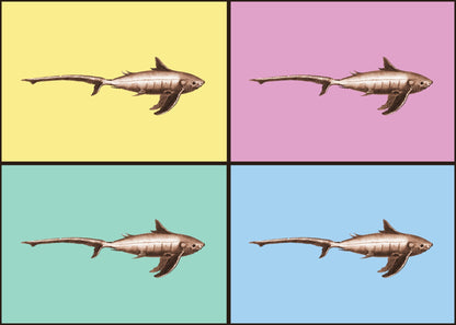 Shark Pop Art Print – antique art print from Ninska Designs