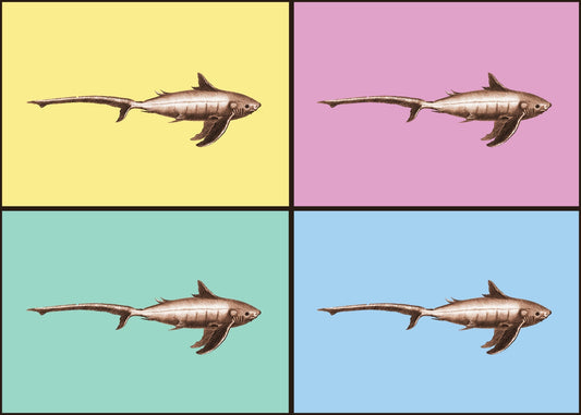 Shark Pop Art Print – antique art print from Ninska Designs
