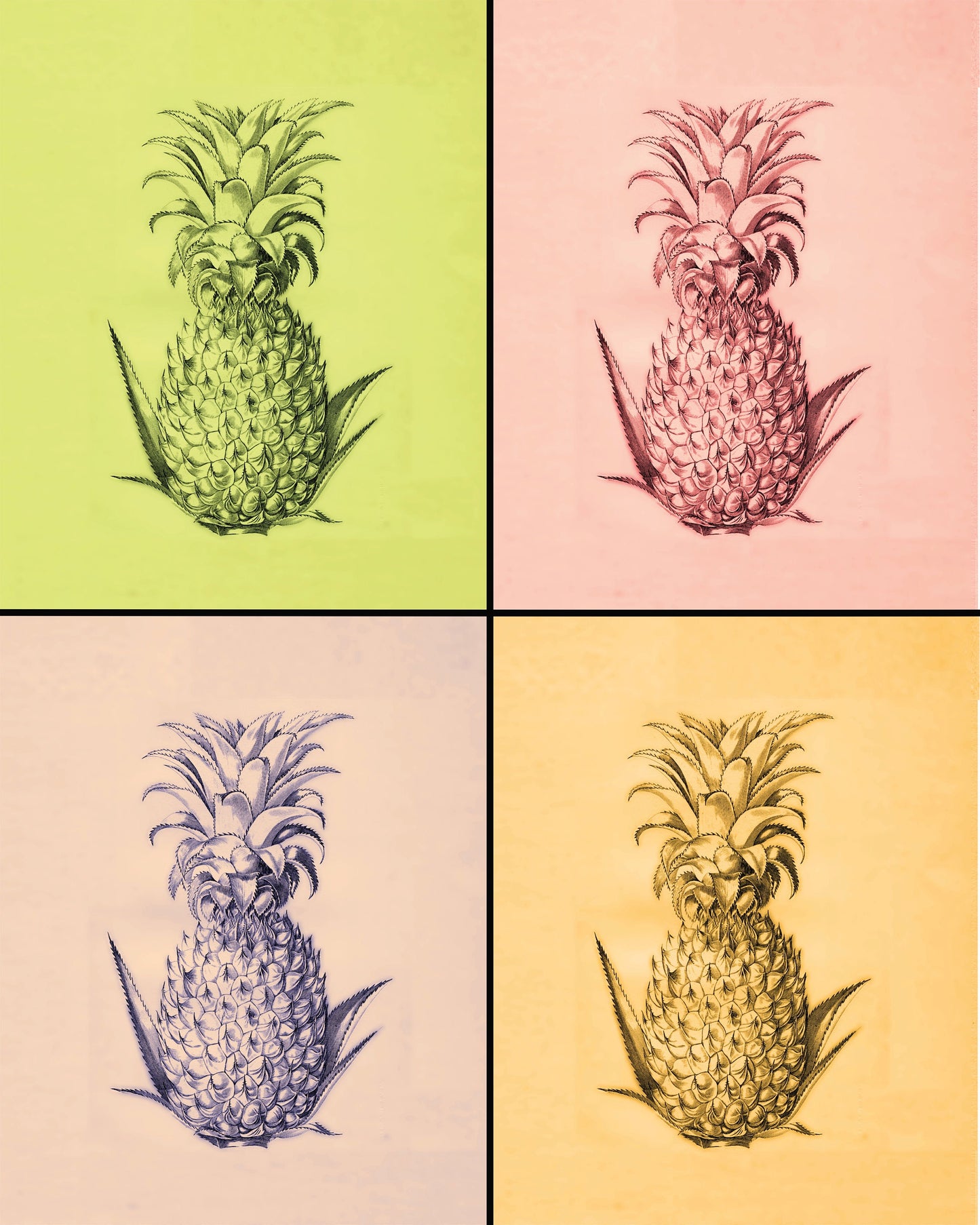 Pineapple Pop Art Print – antique art print from Ninska Designs