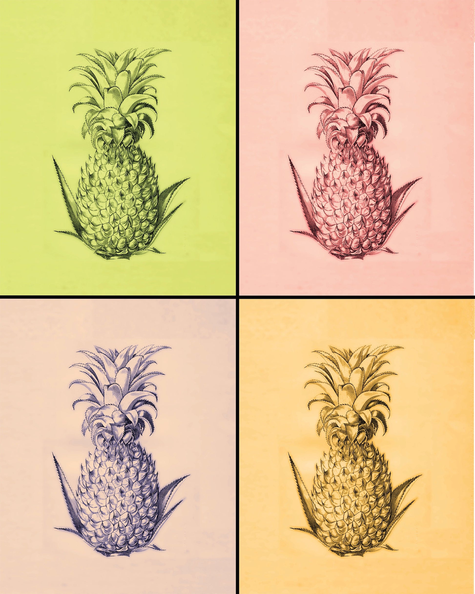 Pineapple Pop Art Print – antique art print from Ninska Designs
