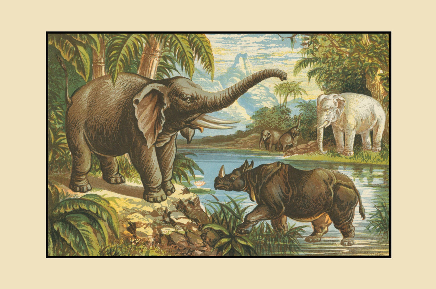 Elephant, Rhinoceros and White Elephant Print – antique art print from Ninska Designs