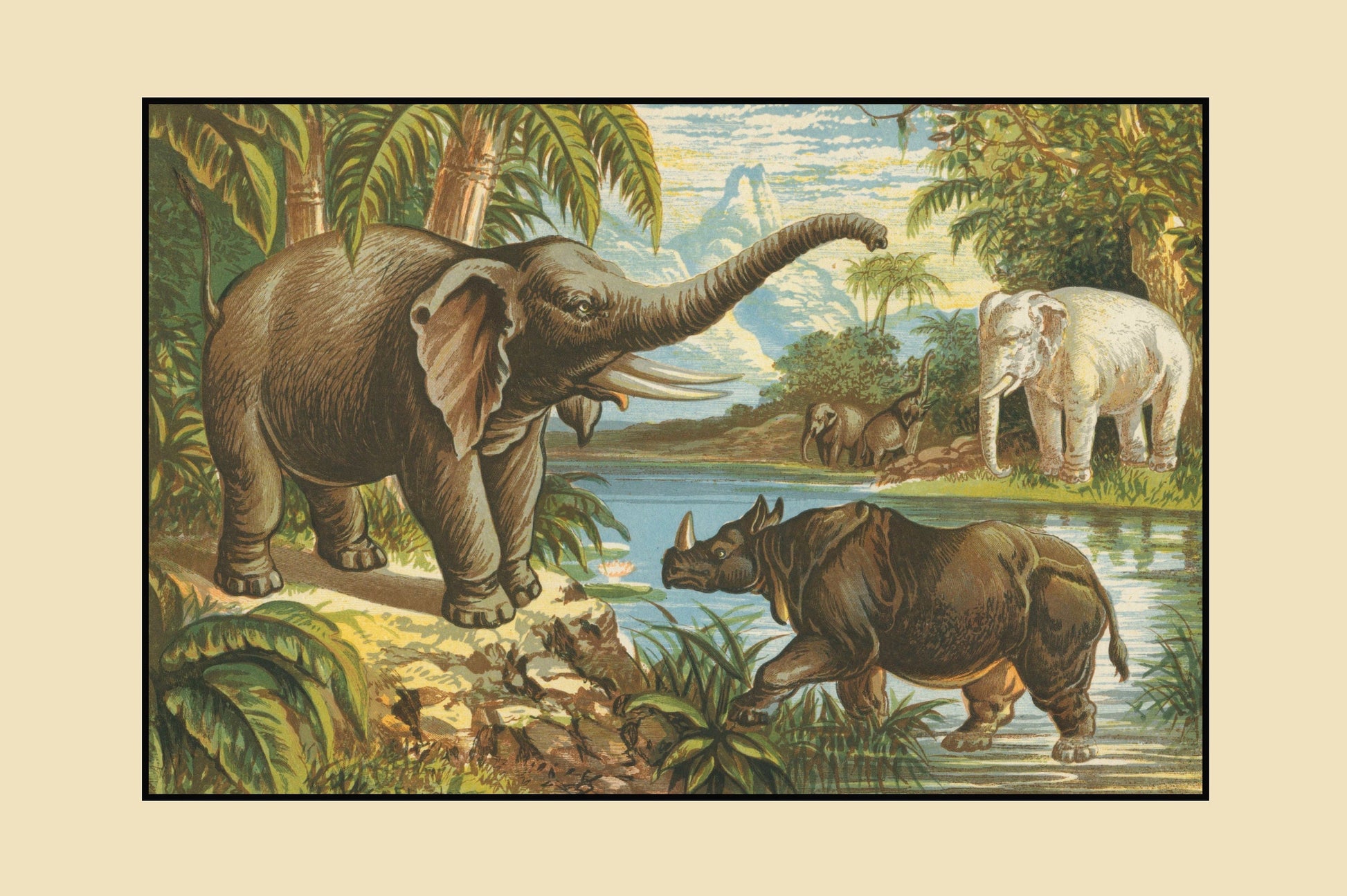 Elephant, Rhinoceros and White Elephant Print – antique art print from Ninska Designs