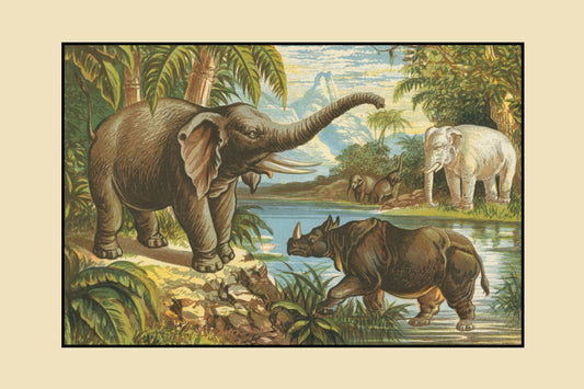 Elephant, Rhinoceros and White Elephant Print – antique art print from Ninska Designs