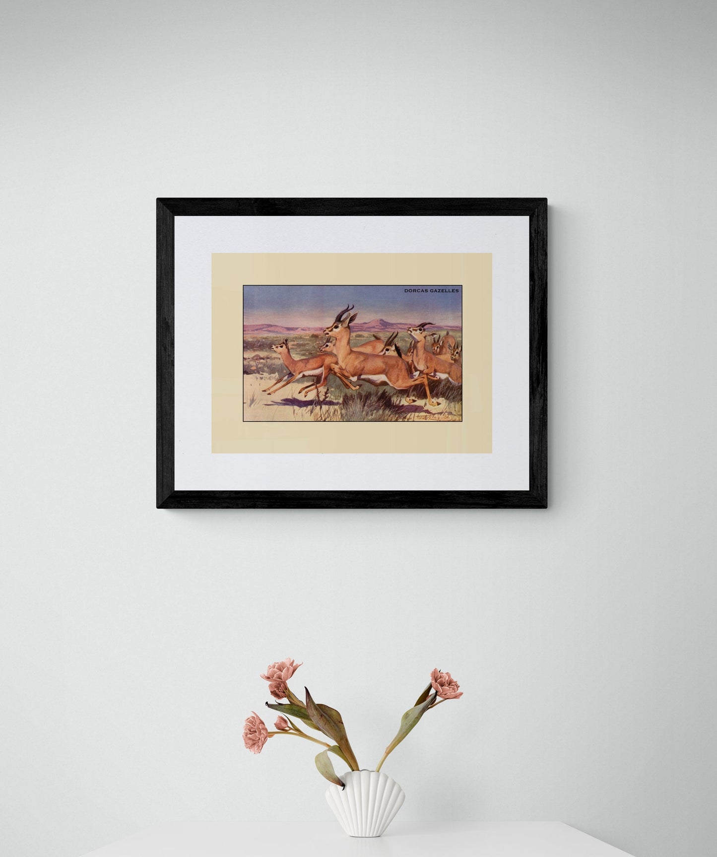 Dorcas Gazelles Print