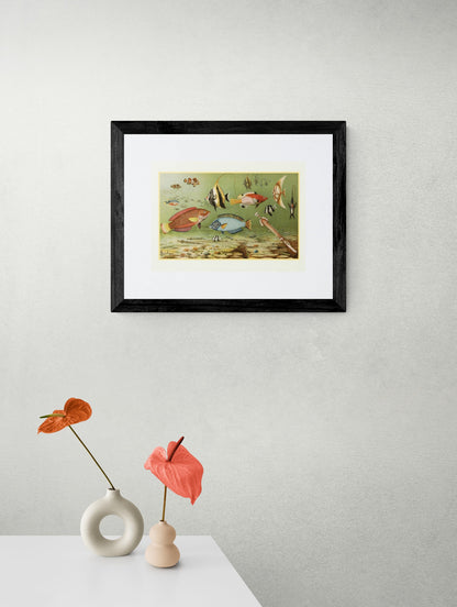 Tropical Fish Print