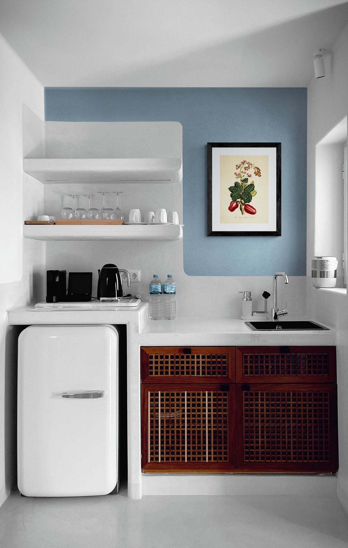The Acajou or Cashew Nut Tree Print