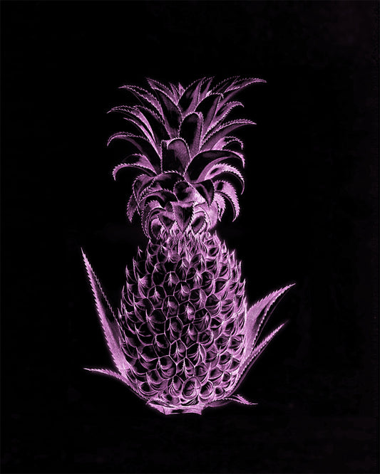 Pink Neon Pineapple Print – antique art print from Ninska Designs