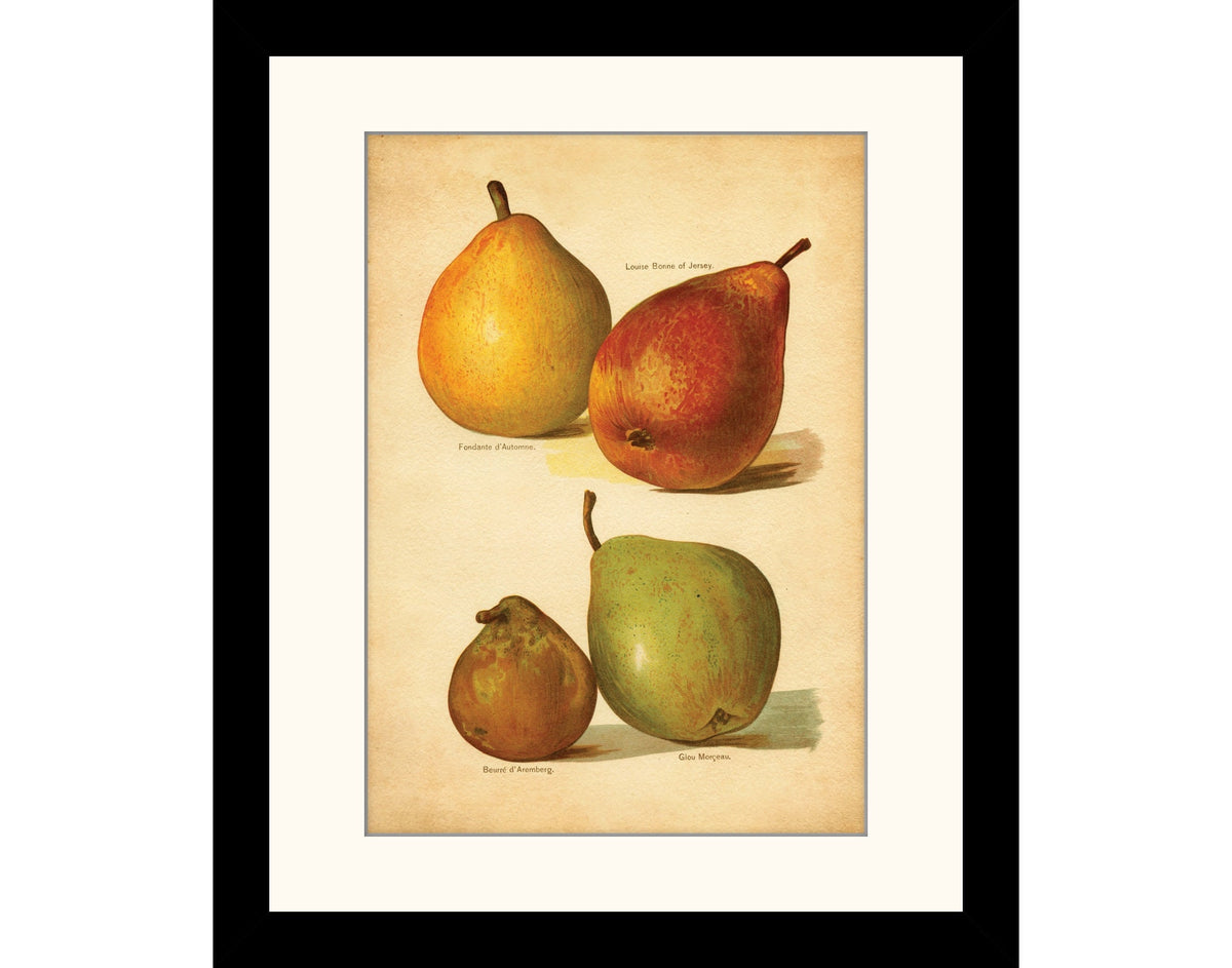 Pears Print
