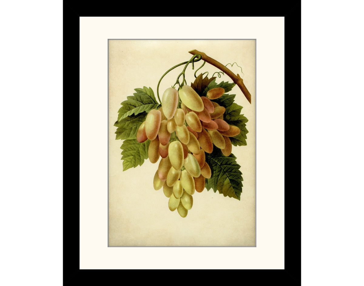 Grapes Print