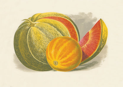 Melons Print ‚Äì antique art print from Ninska Designs