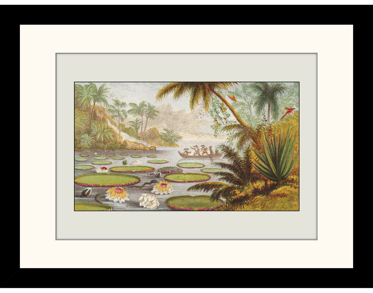 Victoria Regia Lily Print