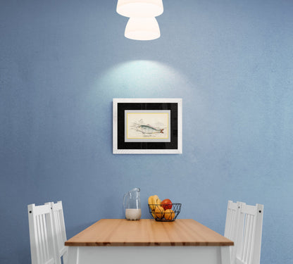 Indian Pilot Fish Print