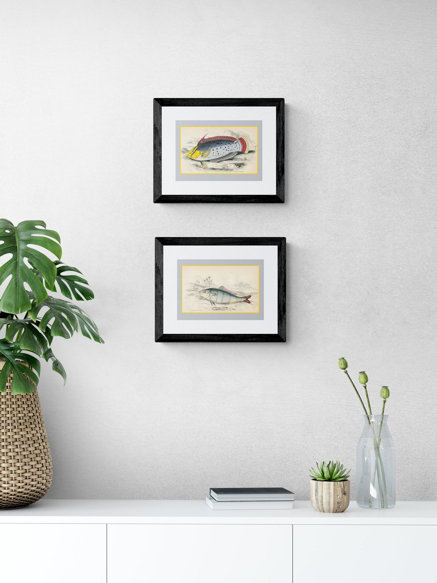 Indian Pilot Fish Print