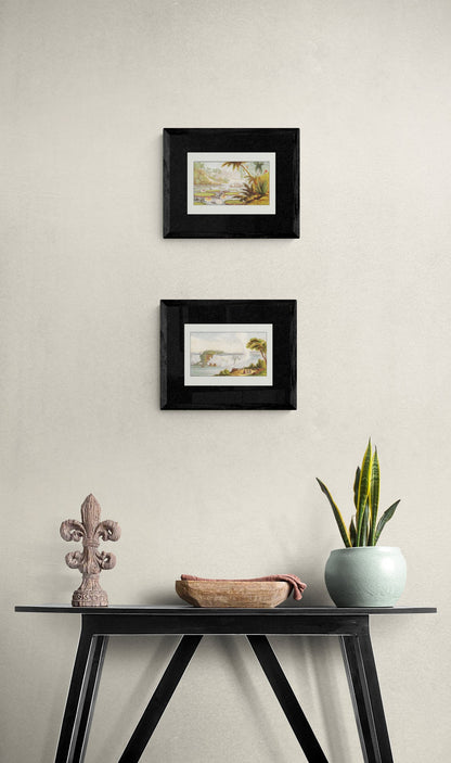 Victoria Regia Lily Print