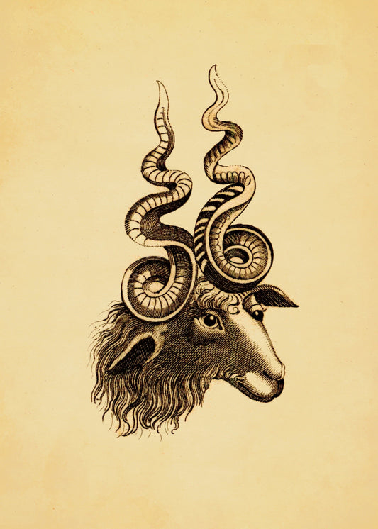 Cretan Sheep Print – antique art print from Ninska Designs