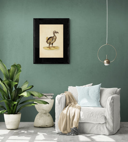 Dodo Print