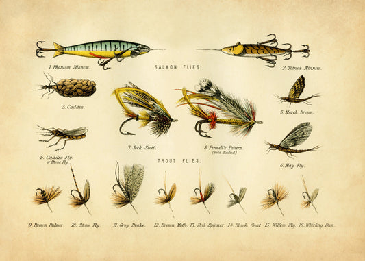 Fishing Flies Print – antique art print from Ninska Designs