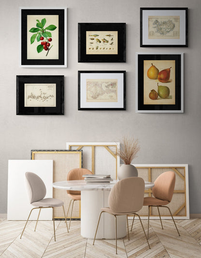 Pears Print