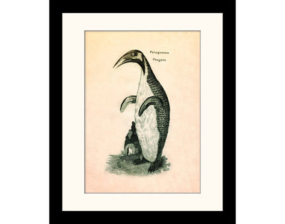Patagonian Pinguin Print