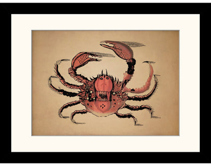 Crab Print