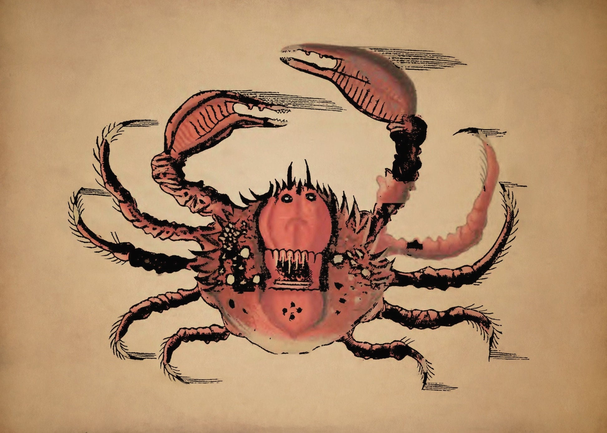 Crab Print – antique art print from Ninska Designs