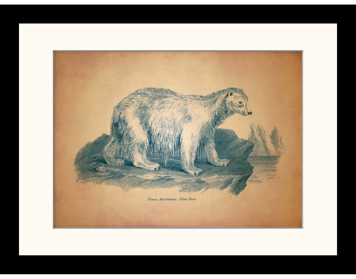 Polar Bear Print