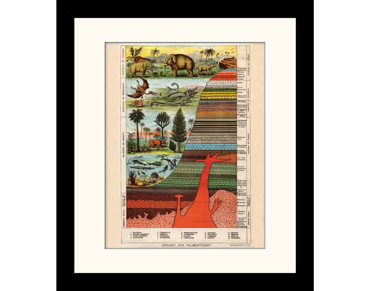 Geology and Palaentology Print - Antique Reproduction - Earths Crust Diagram - Dinosaur - Fossil - Retro Wall Decor - Available Framed