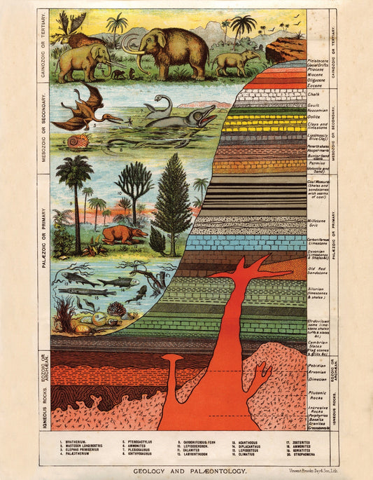 Geology and Palaentology Print – antique art print from Ninska Designs