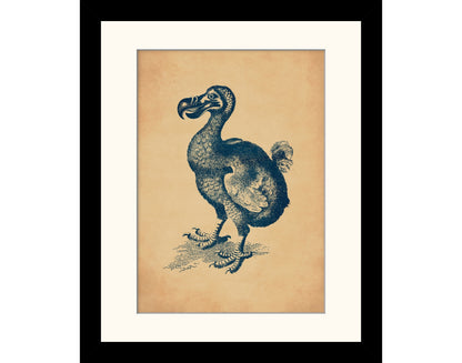 Dodo Print