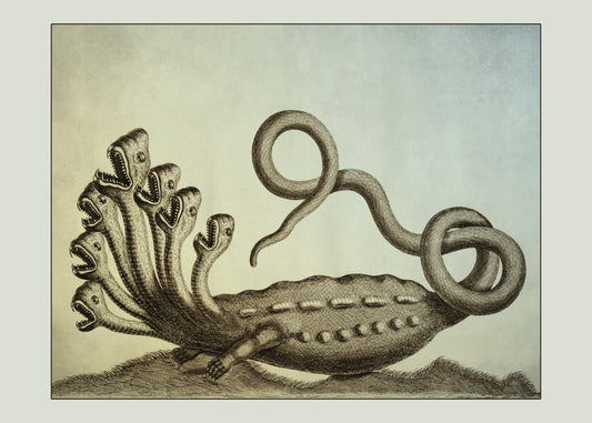 Lernaean Hydra Print – antique art print from Ninska Designs