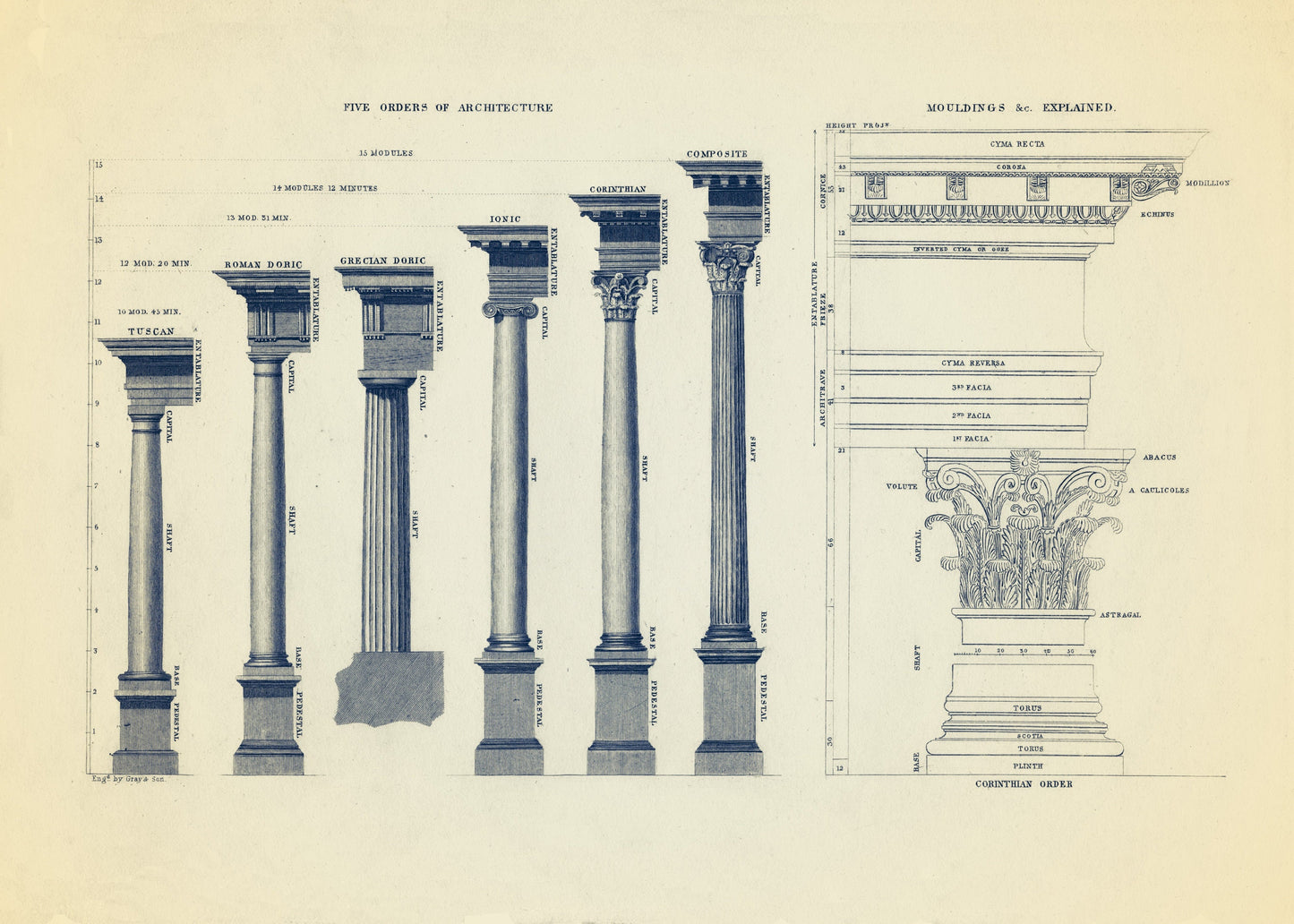 Orders of Architecture and Architectural Mouldings Print – antique art print from Ninska Designs