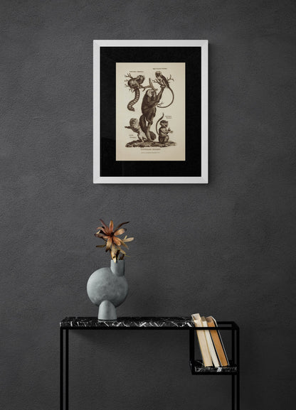 Monkeys Print