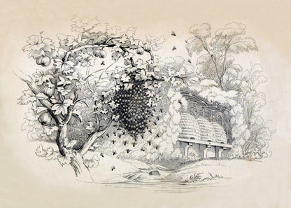 Swarming Bees Print – antique art print from Ninska Designs