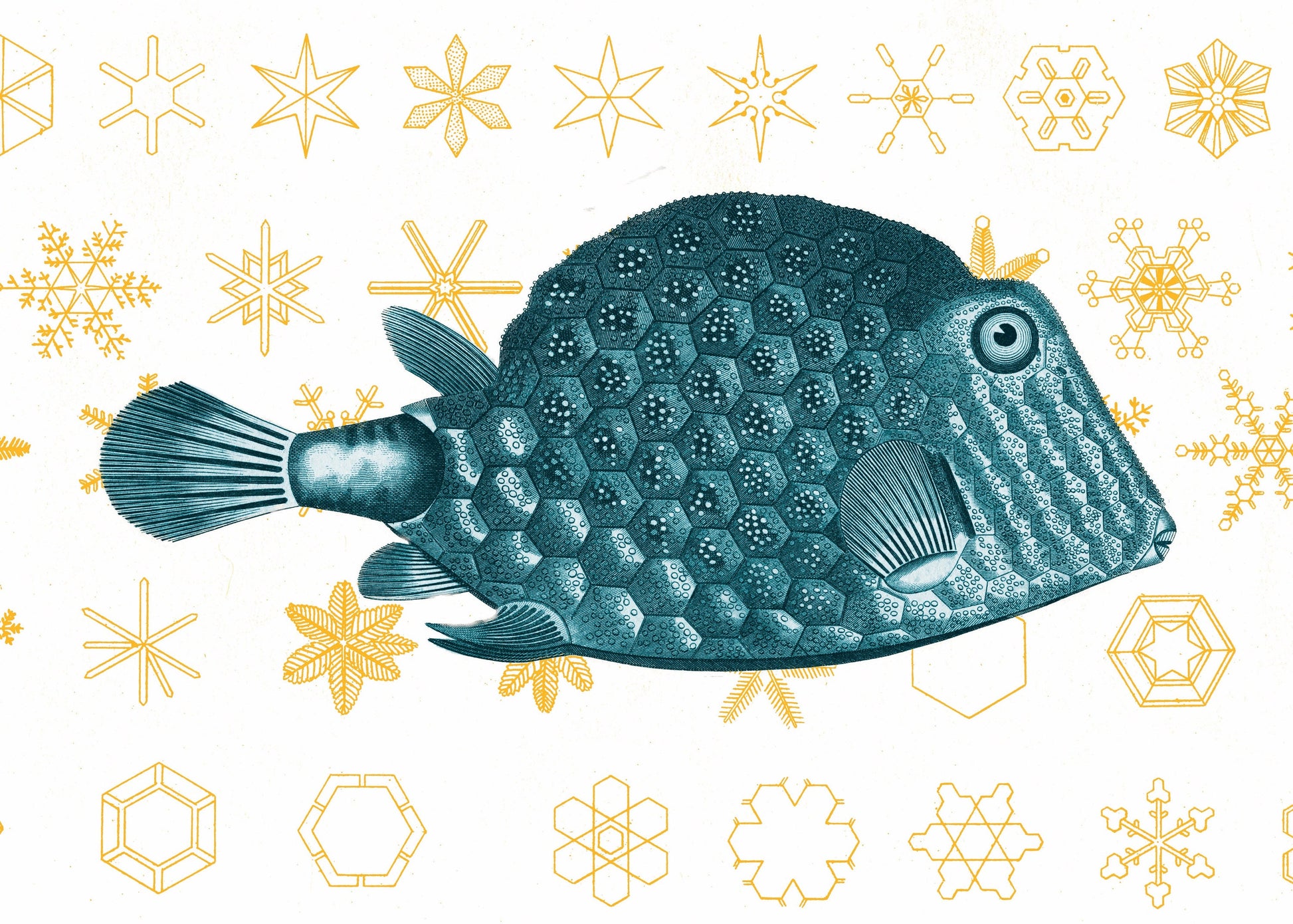 Fish and Snowflakes Print – antique art print from Ninska Designs