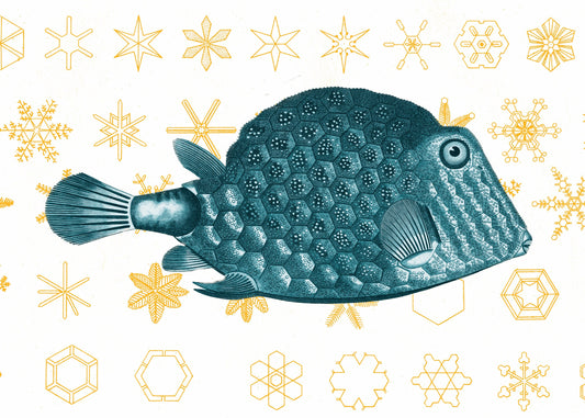 Fish and Snowflakes Print – antique art print from Ninska Designs