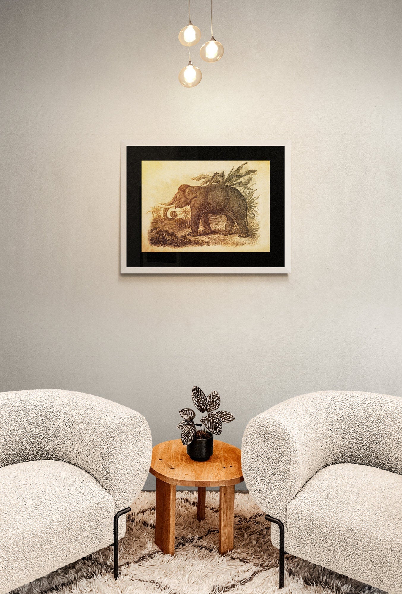 Asiatic Elephant Print
