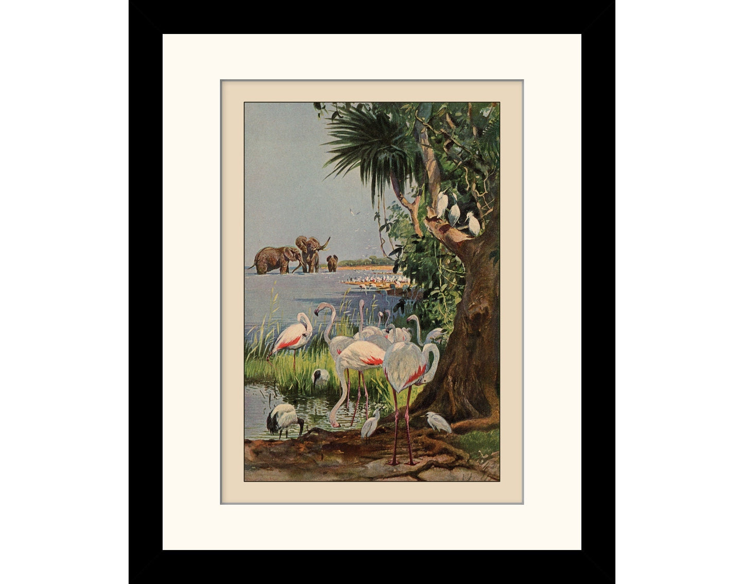 African Wildlife Print