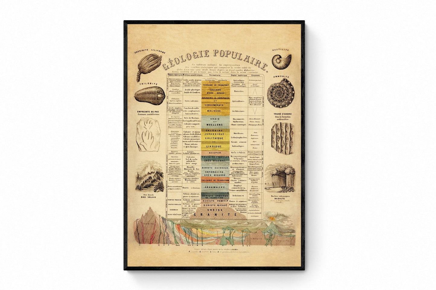 Geology and Palaentology Poster – antique art print from Ninska Designs