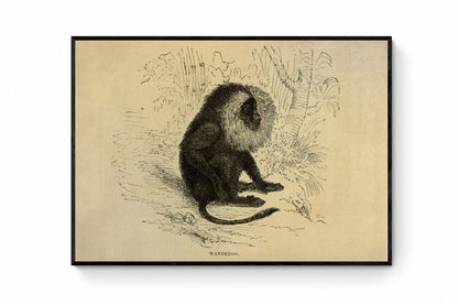 Wanderoo Print ‚Äì antique art print from Ninska Designs