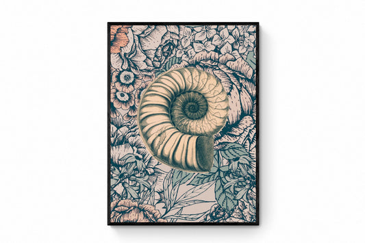 Retro Ammonite Print – antique art print from Ninska Designs