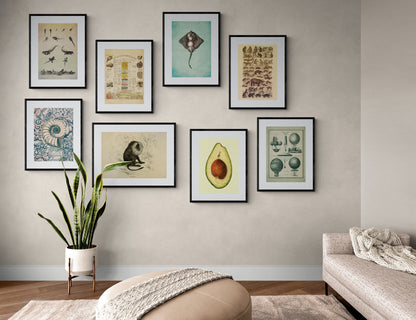 Fungi World - Antique Art Reproduction - Surreal Antique Collage - Vintage Wall Art - Retro Wall Decor - Available Framed