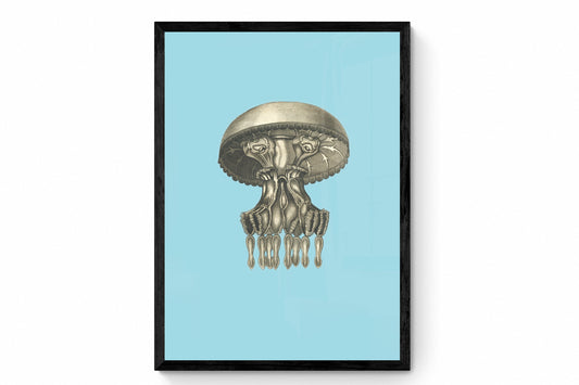 Medusa Pulmo Print