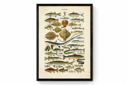 Fish Print