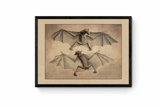 Bats Print